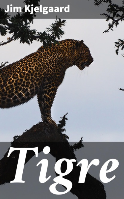 

Tigre