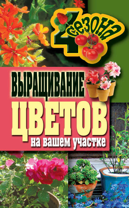 

Выращивание цветов на вашем участке