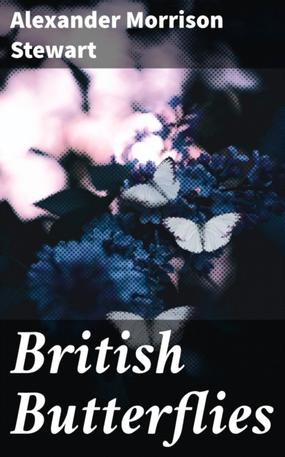 

British Butterflies