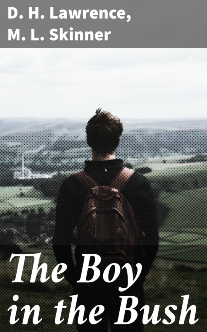 

The Boy in the Bush
