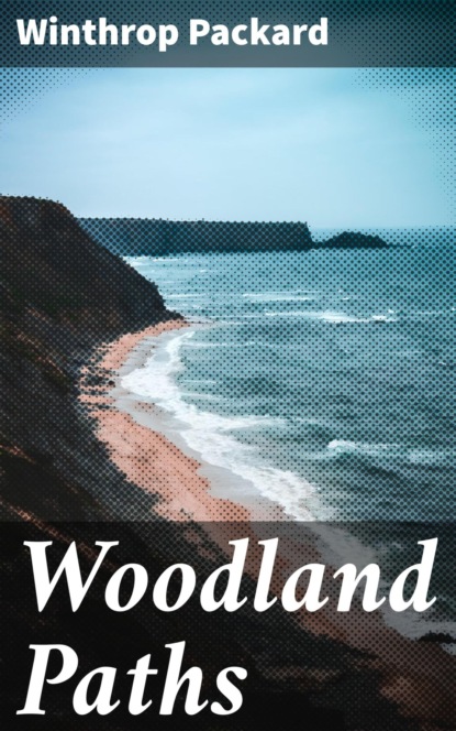 

Woodland Paths