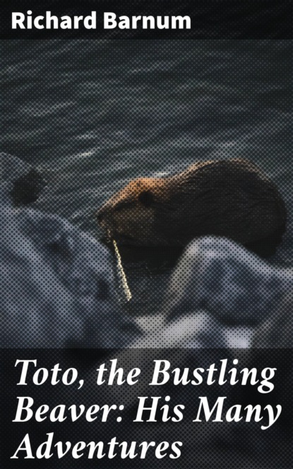 

Toto, the Bustling Beaver: His Many Adventures