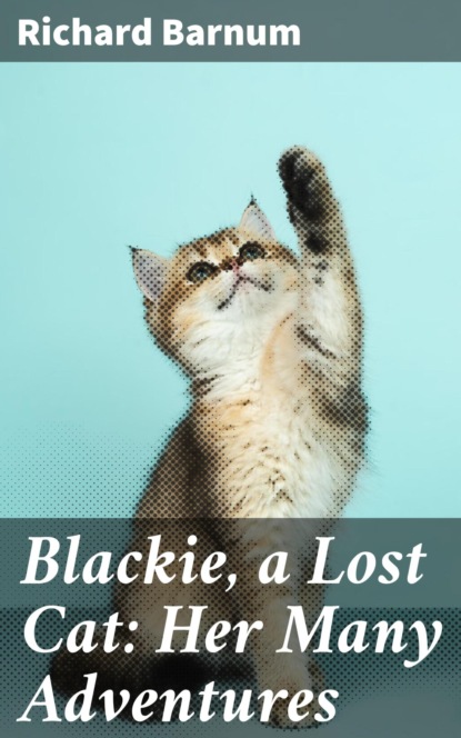 

Blackie, a Lost Cat: Her Many Adventures