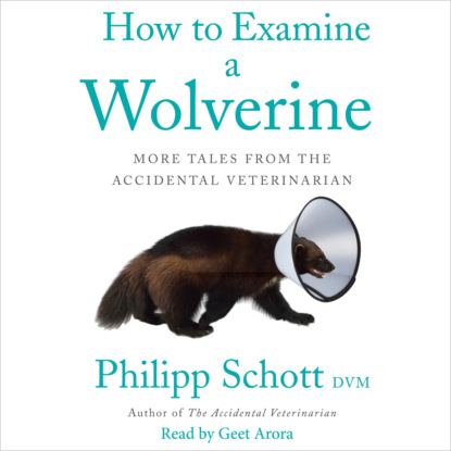 How to Examine a Wolverine - More Tales from the Accidental Veterinarian (Unabridged) (Philipp Schott, DVM). 