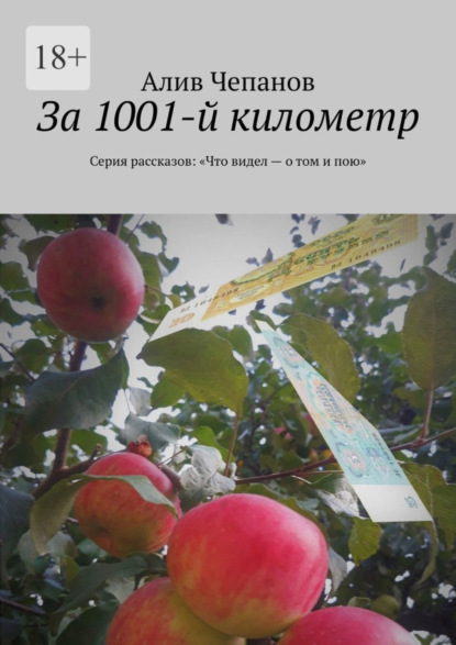 За 1001-й километр. Серия рассказов: «Что видел – о том и пою» - Алив Чепанов