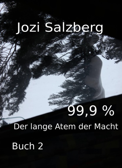 99,9 % - Buch 2 (Jozi Salzberg). 