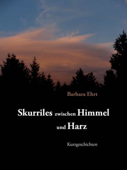 Skurriles zwischen Himmel und Harz (Barbara Ehrt). 