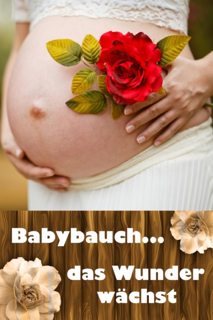 Babybauch...das Wunder wächst (Laura Paulsen). 