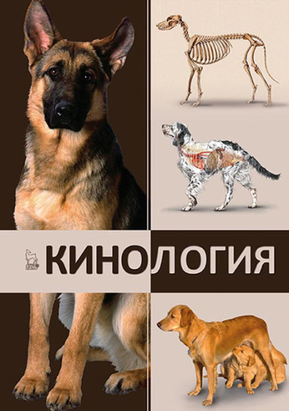 Кинология (Коллектив авторов). 