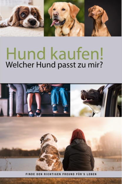 Hund kaufen aber welcher Hund passt zu mir? (Felix Dr. Labrador). 