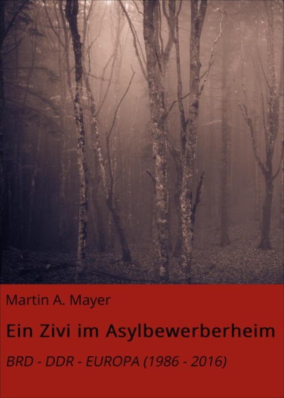 Ein Zivi im Asylbewerberheim (Martin A. Mayer). 