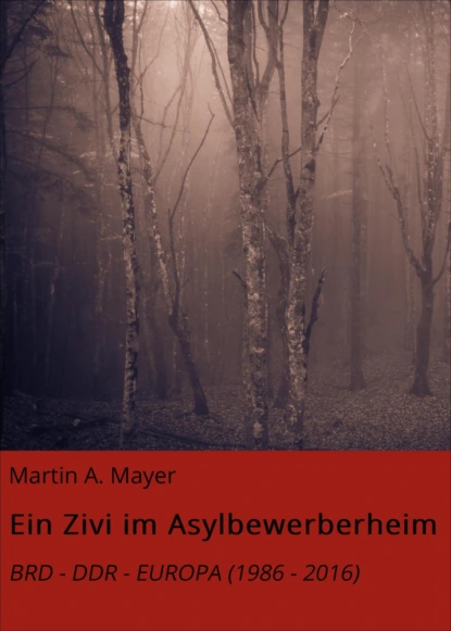 Обложка книги Ein Zivi im Asylbewerberheim, Martin A. Mayer