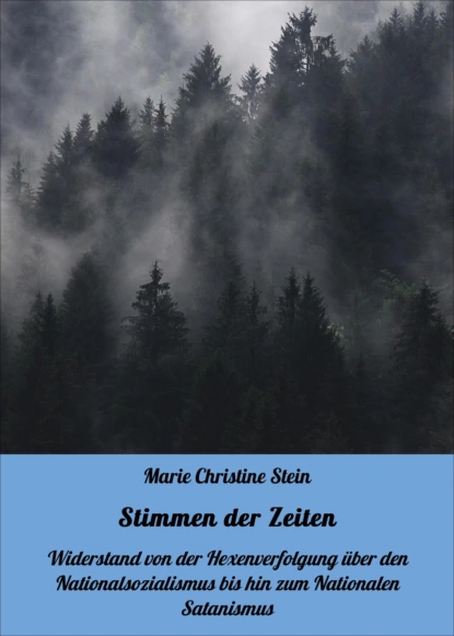 Обложка книги Stimmen der Zeiten, Marie Christine Stein