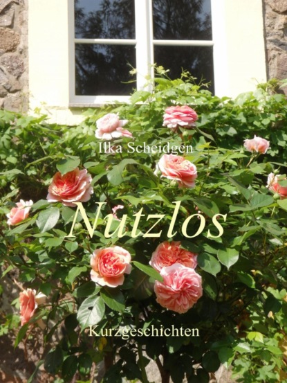 Nutzlos (Ilka Scheidgen). 