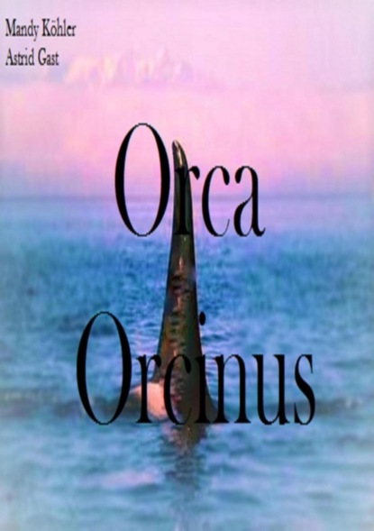 Orca Orcinus (Mandy Köhler). 