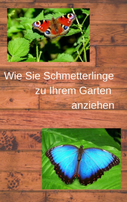 Wie Sie Schmetterlinge zu Ihrem Garten anziehen (André Sternberg). 