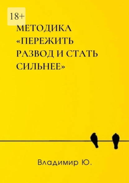 Обложка книги Методика «Пережить развод и стать сильнее», Владимир Ю.