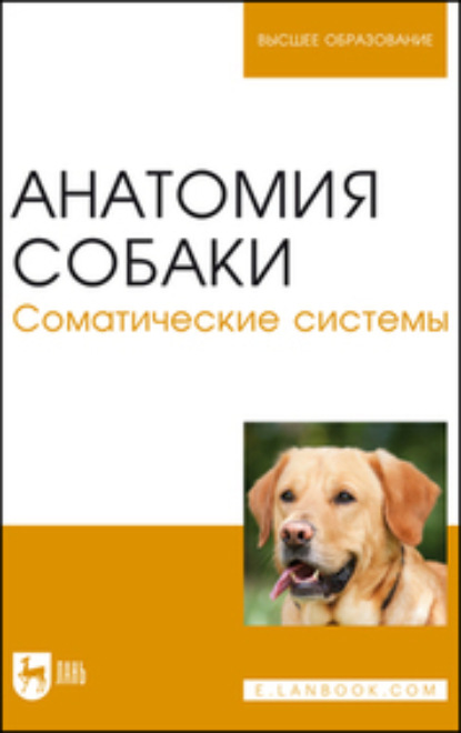 Анатомия собаки. Соматические системы. Учебник для вузов (Н. В. Бабичев). 2023г. 