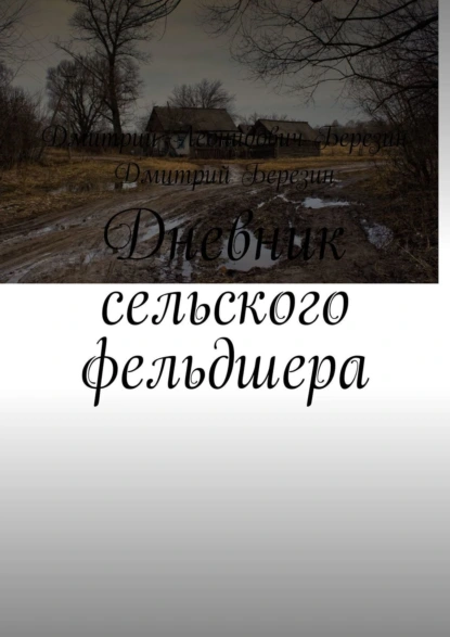 Обложка книги Дневник сельского фельдшера, Дмитрий Леонидович Березин