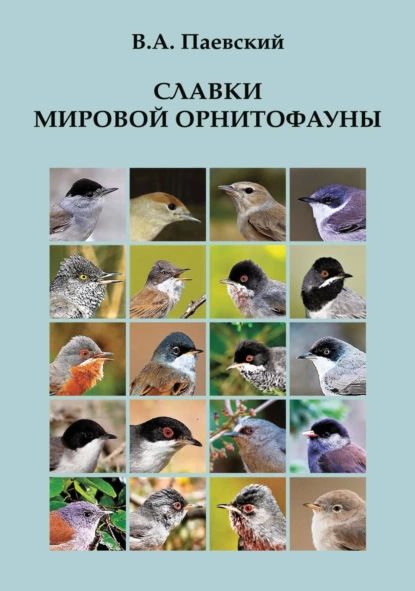 Обложка книги Славки мировой орнитофауны, В. А. Паевский