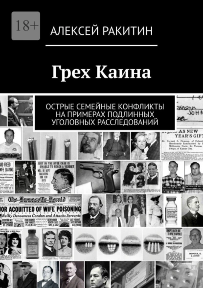 Обложка книги Грех Каина. Острые семейные конфликты на примерах подлинных уголовных расследований, Алексей Ракитин