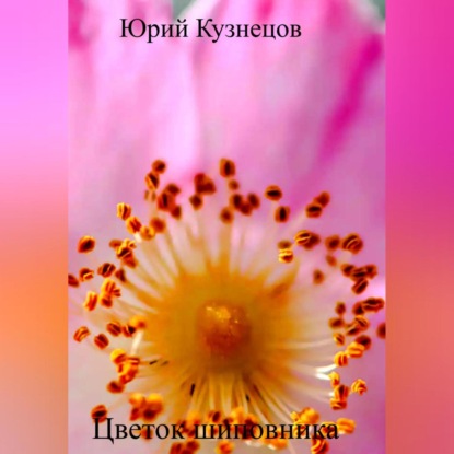 Аудиокнига Цветок шиповника ISBN 