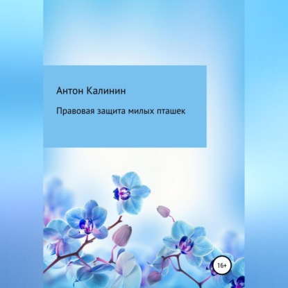 Аудиокнига Антон Олегович Калинин - Правовая защита милых пташек