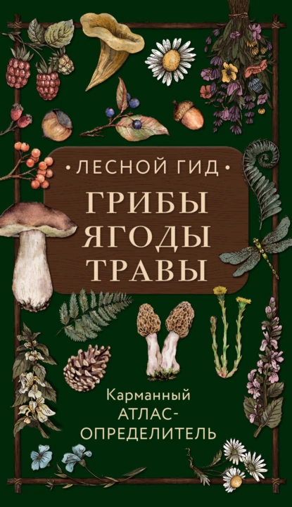 Обложка книги Лесной гид: грибы, ягоды, травы. Карманный атлас-определитель, Людмила Семенова