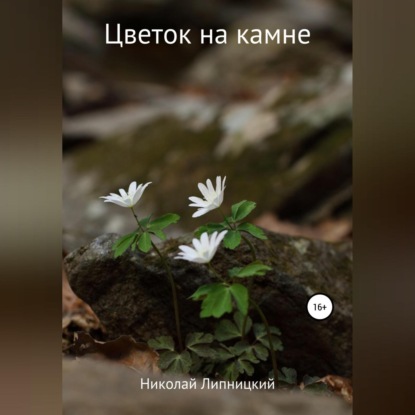 Аудиокнига Николай Иванович Липницкий - Цветок на камне