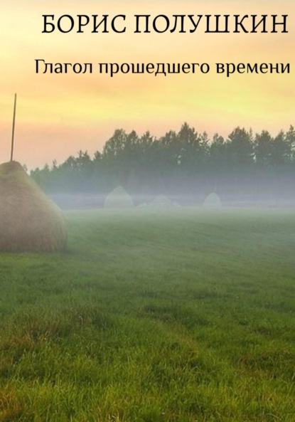 Глагол прошедшего времени - Борис Полушкин