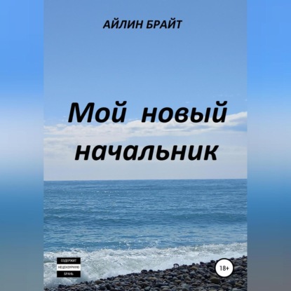 Аудиокнига Мой новый начальник ISBN 