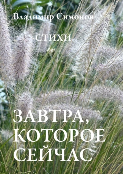 Обложка книги Завтра, которое сейчас. Стихи, Владимир Симонов