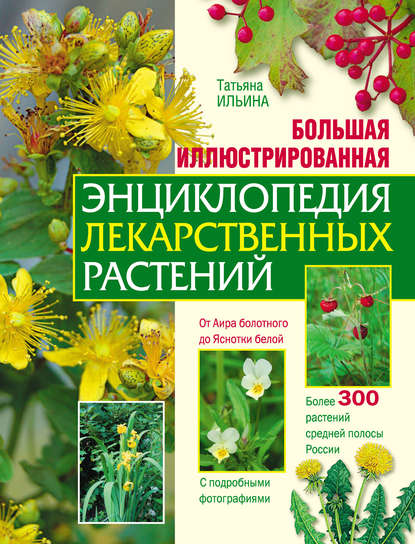 Т. А. Ильина — Большая иллюстрированная энциклопедия лекарственных растений