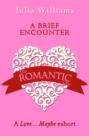 A Brief Encounter: A Love…Maybe Valentine eShort