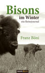 Bisons im Winter