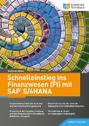 Schnelleinstieg ins Finanzwesen (FI) mit SAP S\/4HANA