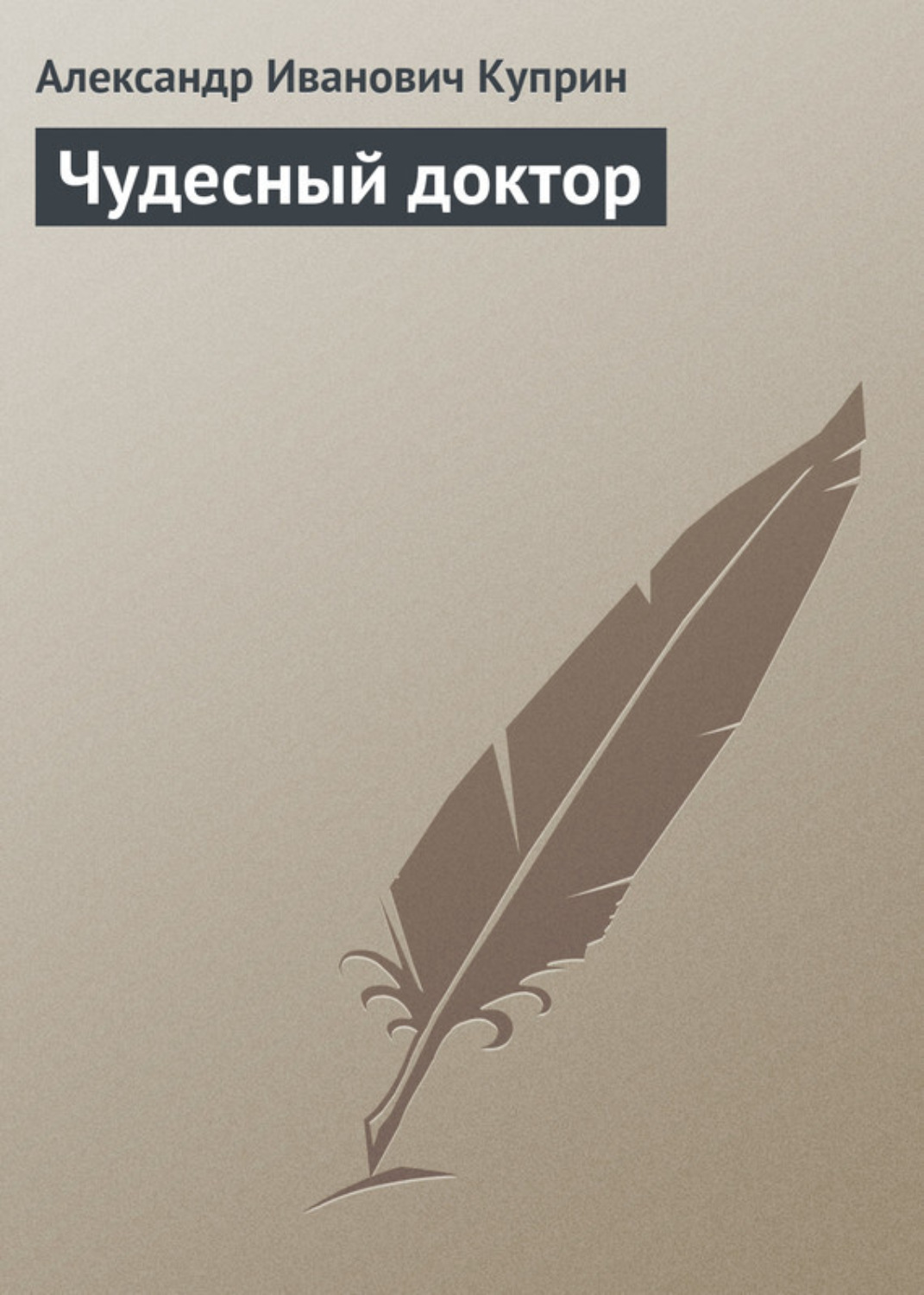 «Чудесный доктор»: ключевые мысли, образы и герои рассказа А.И. Куприна