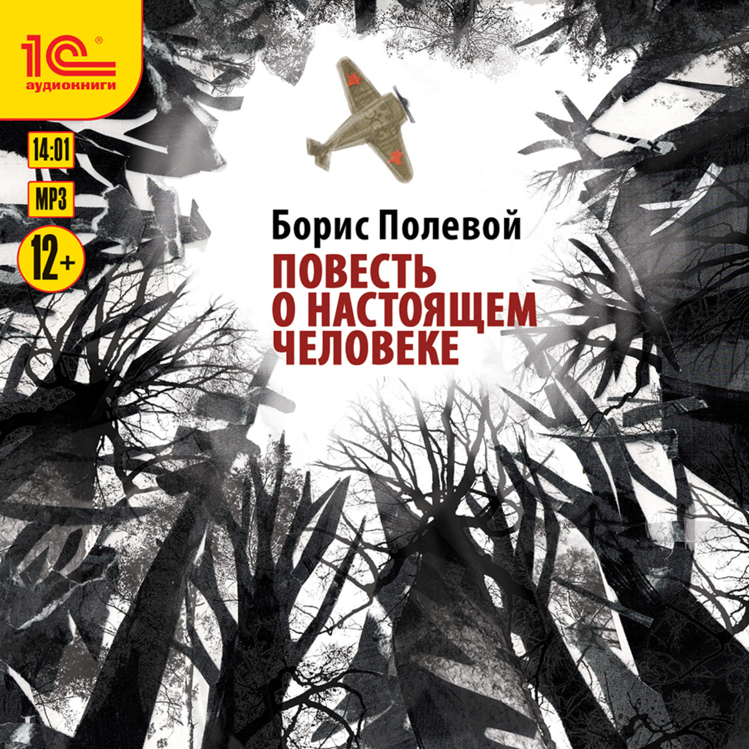 Повесть о настоящем. Борис полевой повесть о настоящем человеке. Повесть о нанастоящем человеке. Поверь о настоящем человеке. Весть о СТО Я Щ Е М человек.