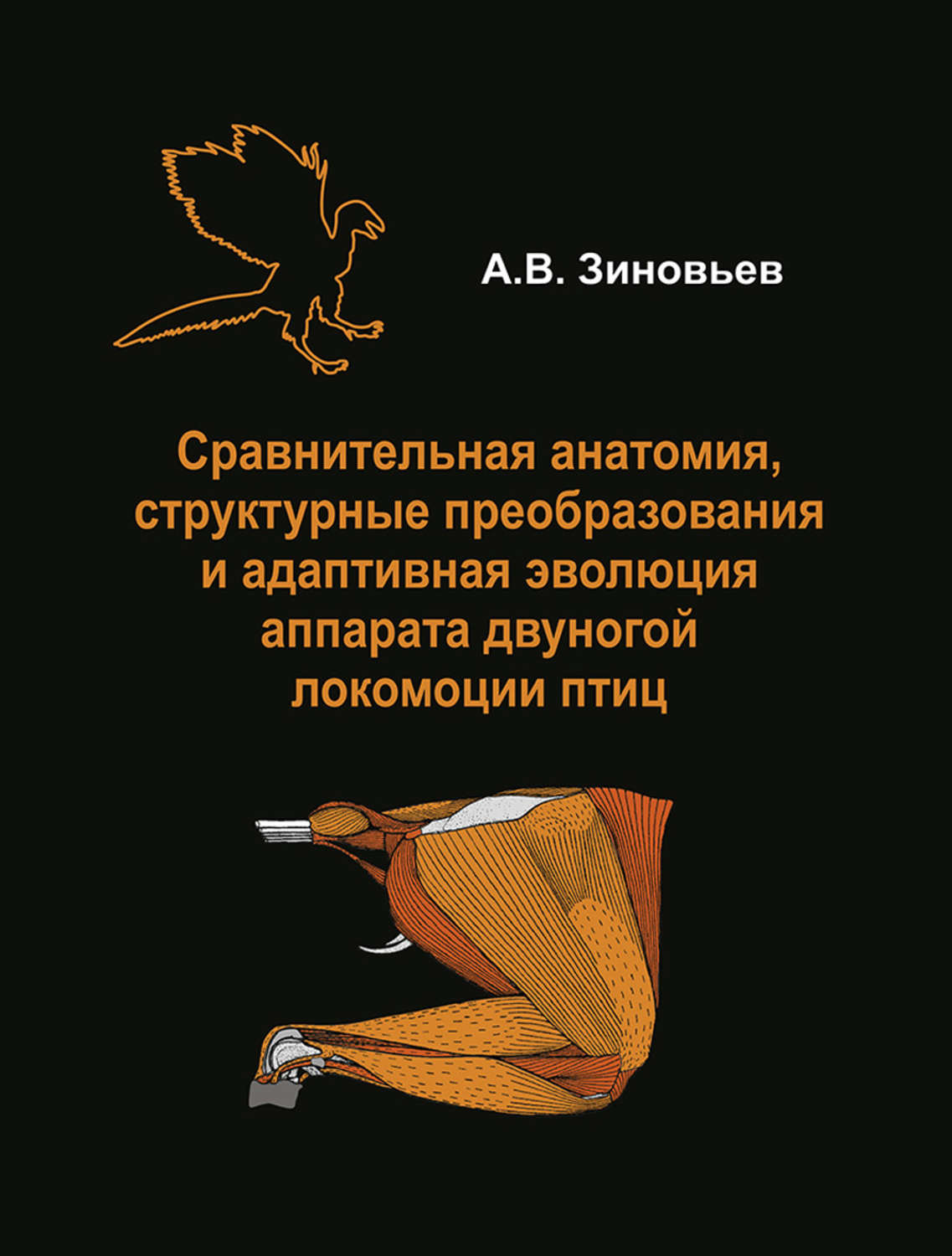 Сравнительная анатомия. Адаптивная Эволюция. Сравнительная анатомия Автор. Локомоция человека книга.