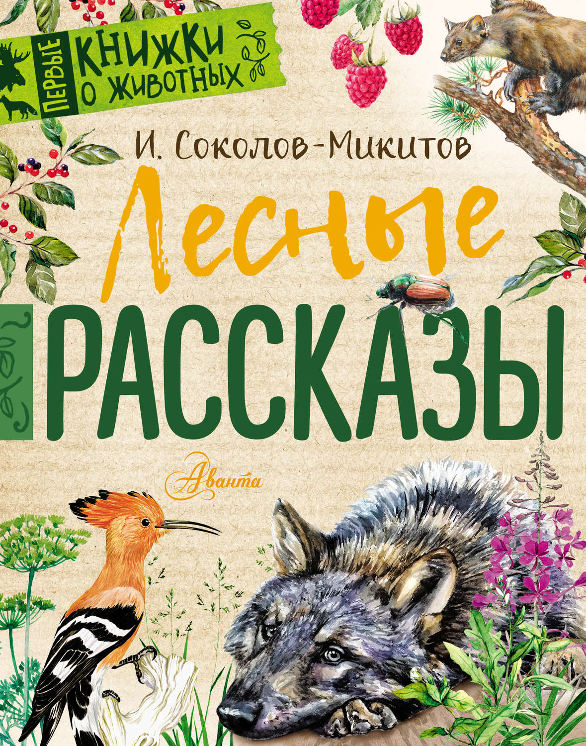 Лесные рассказы. Иван Соколов-Микитова рассказы о животных. Лесные рассказы Иван Соколов-Микитов. Иван Сергеевич Соколов-Микитов обложки книг. Рассказы о природе Соколова Микитова.