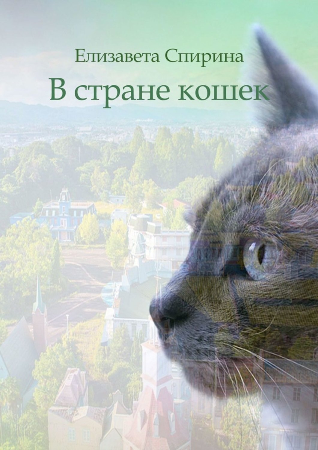 Страна кошек. Путешествие в страну кошек. Страна кошек книга. Путешествие детей в страну кошек. Кошка Елизавета.