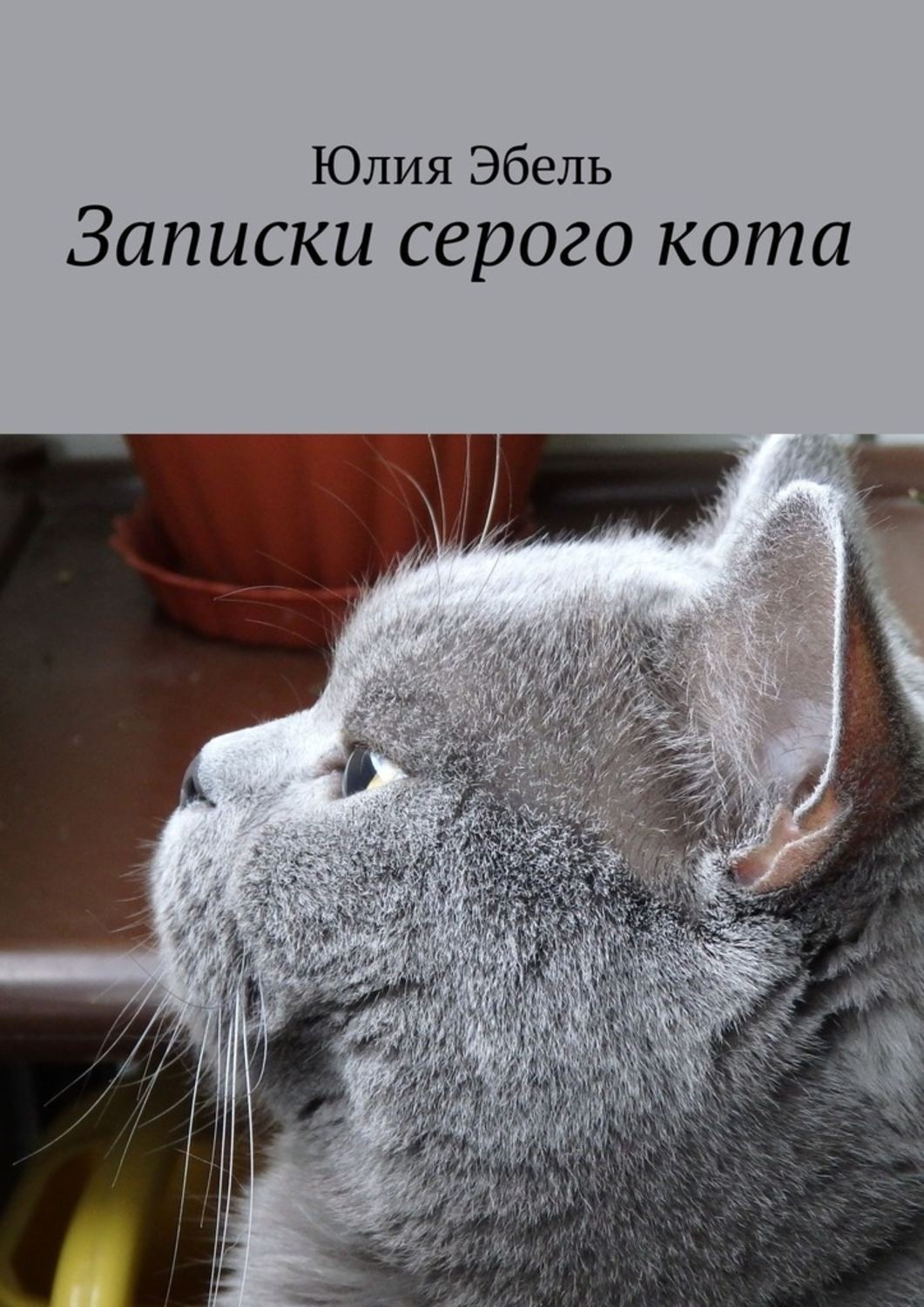 Книга глазами кота. Жизнь кота книга. Жизнь глазами кота. Серый кот с книгой.