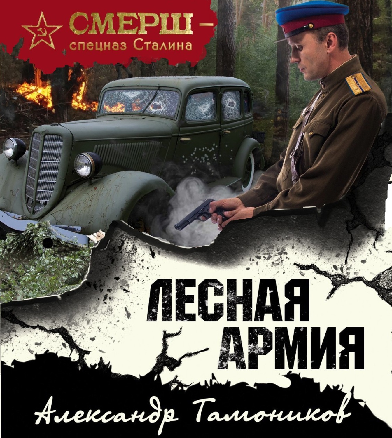 Тамоников аудиокниги. Тамоников Александр - Лесная армия. Лесная армия Александр Тамоников книга. Александр Александрович Тамоников Лесная армия. Тамоников а.а. 