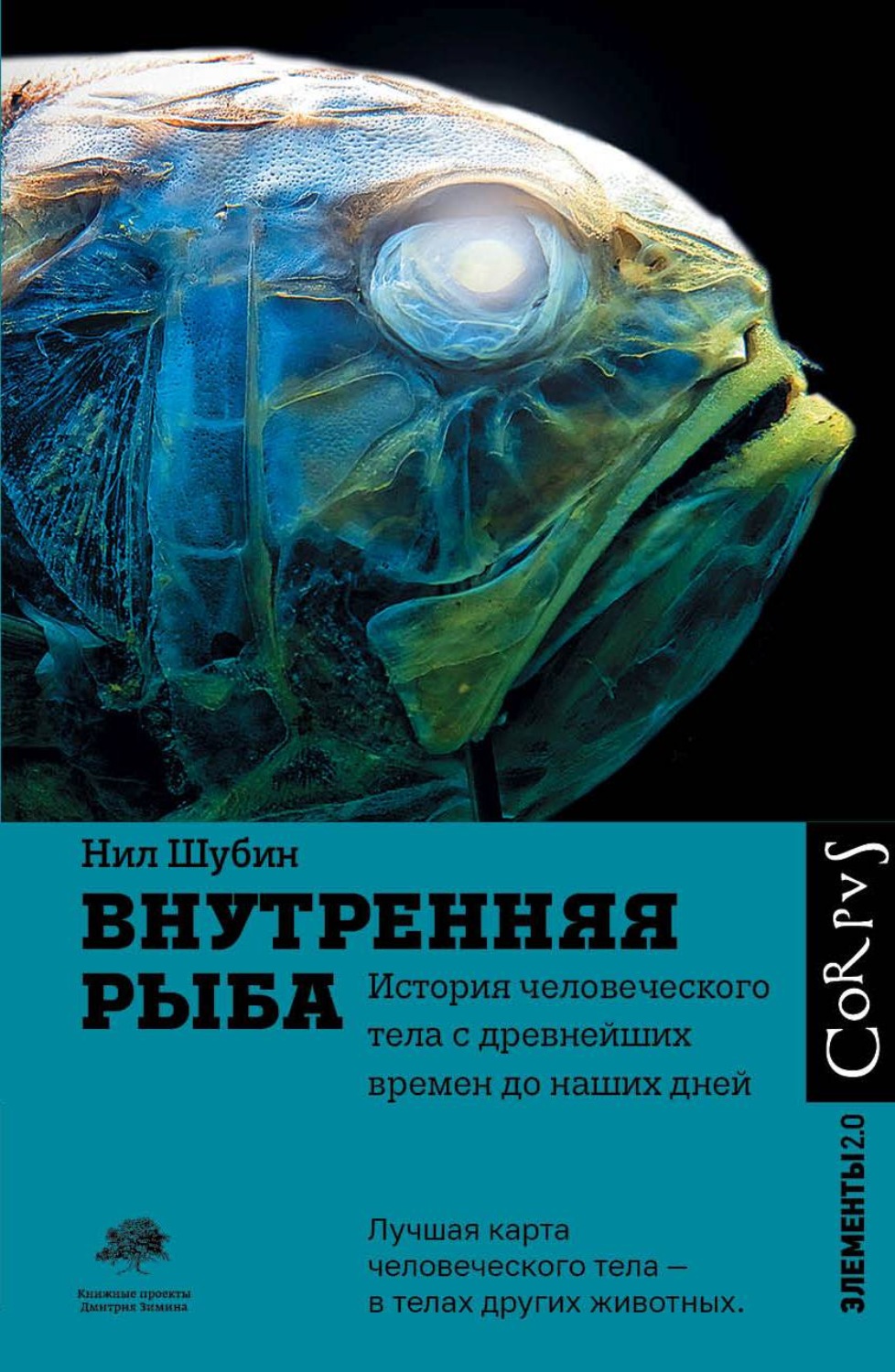 Цитаты из книги «Внутренняя рыба. История человеческого тела с древнейших  времен до наших дней» Нила Шубина – Литрес