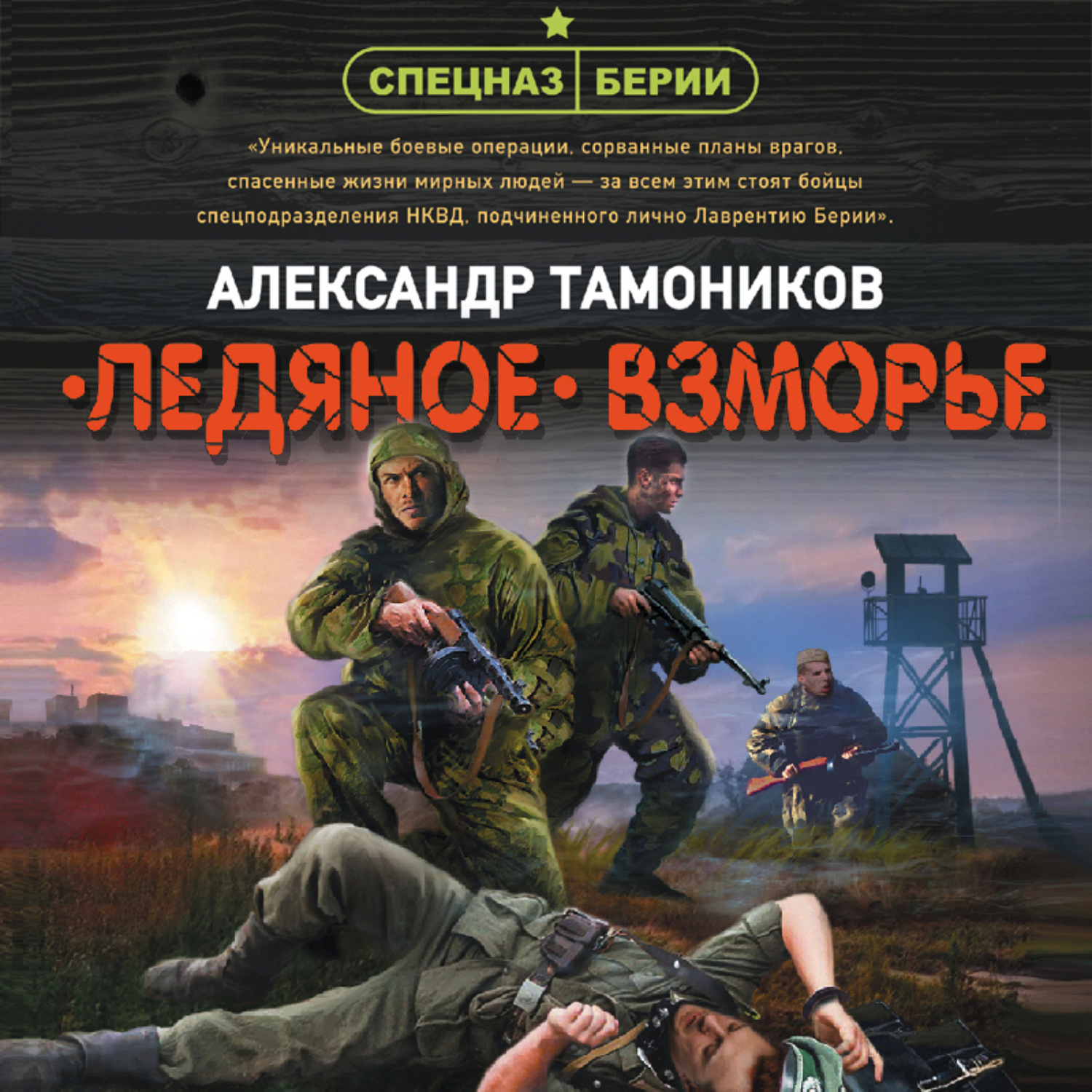 Александр Тамоников, Ледяное взморье – слушать онлайн бесплатно или скачать  аудиокнигу в mp3 (МП3), издательство Эксмо