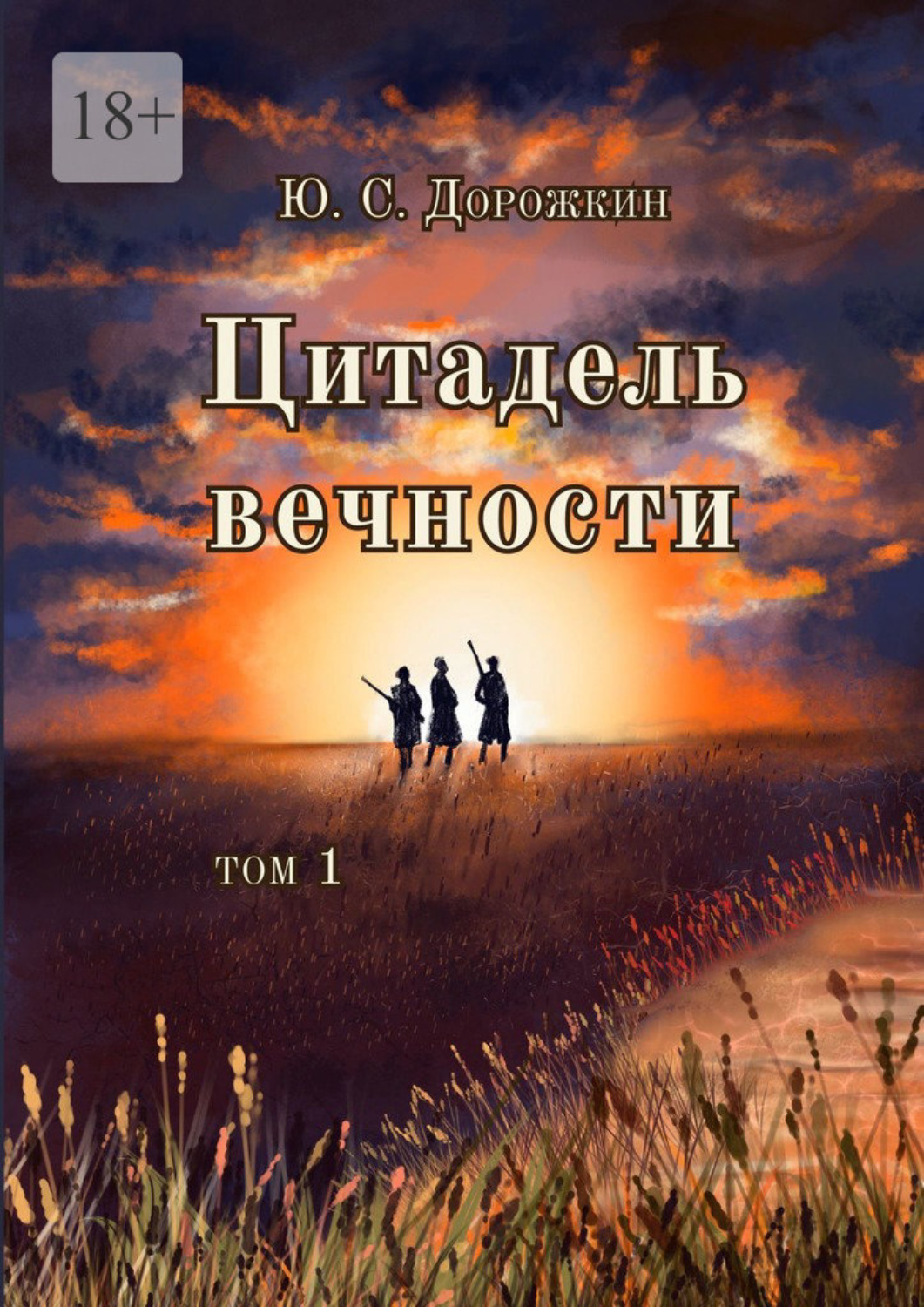 Цитадель книга. Цитадель Роман про энергию. Трое братьев и замок теней Сергей Дорожкин. Дорожкина в т.