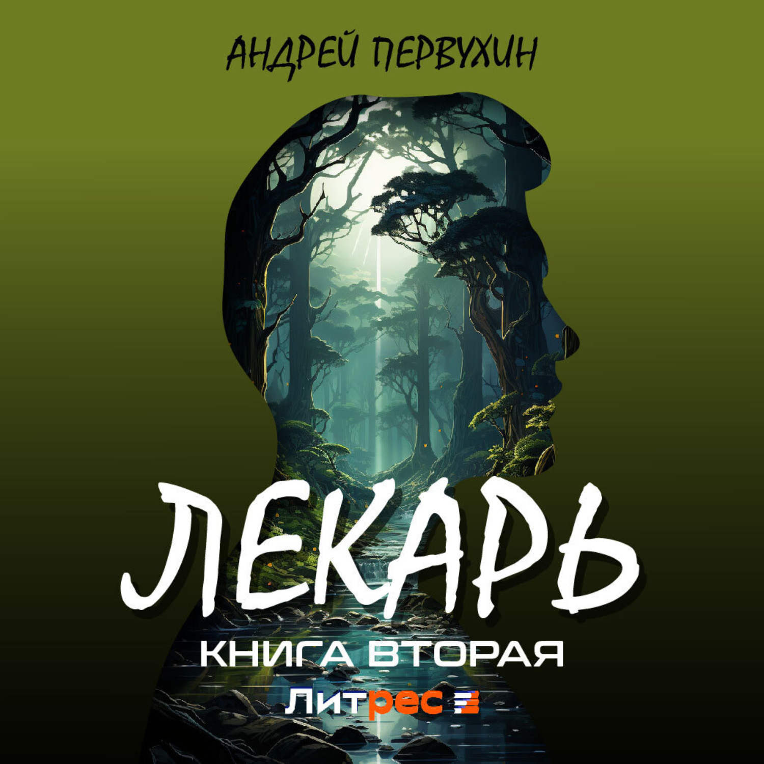 Лекарь аудиокнига 10