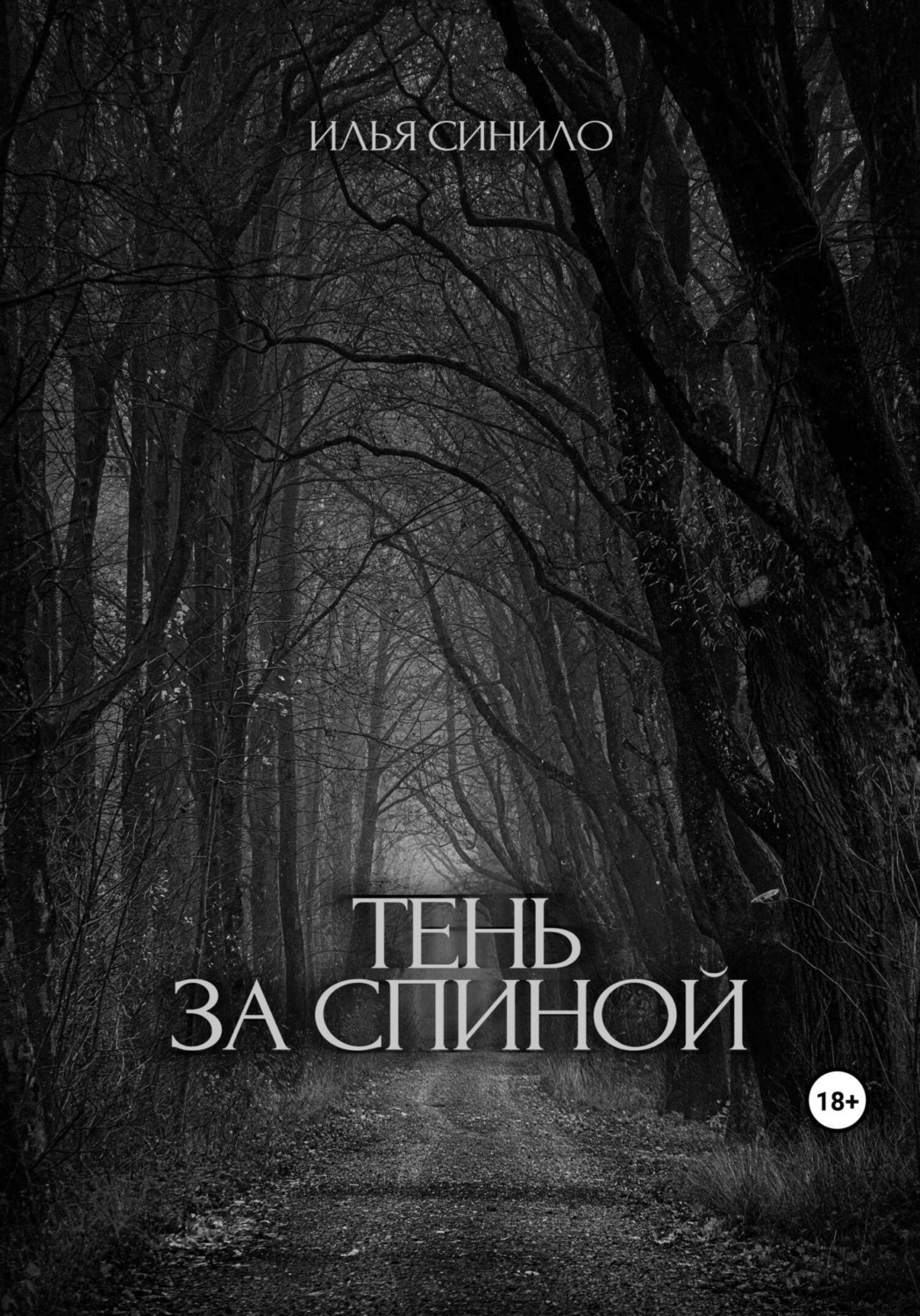 Илья Синило книга Тень за спиной – скачать fb2, epub, pdf бесплатно ...