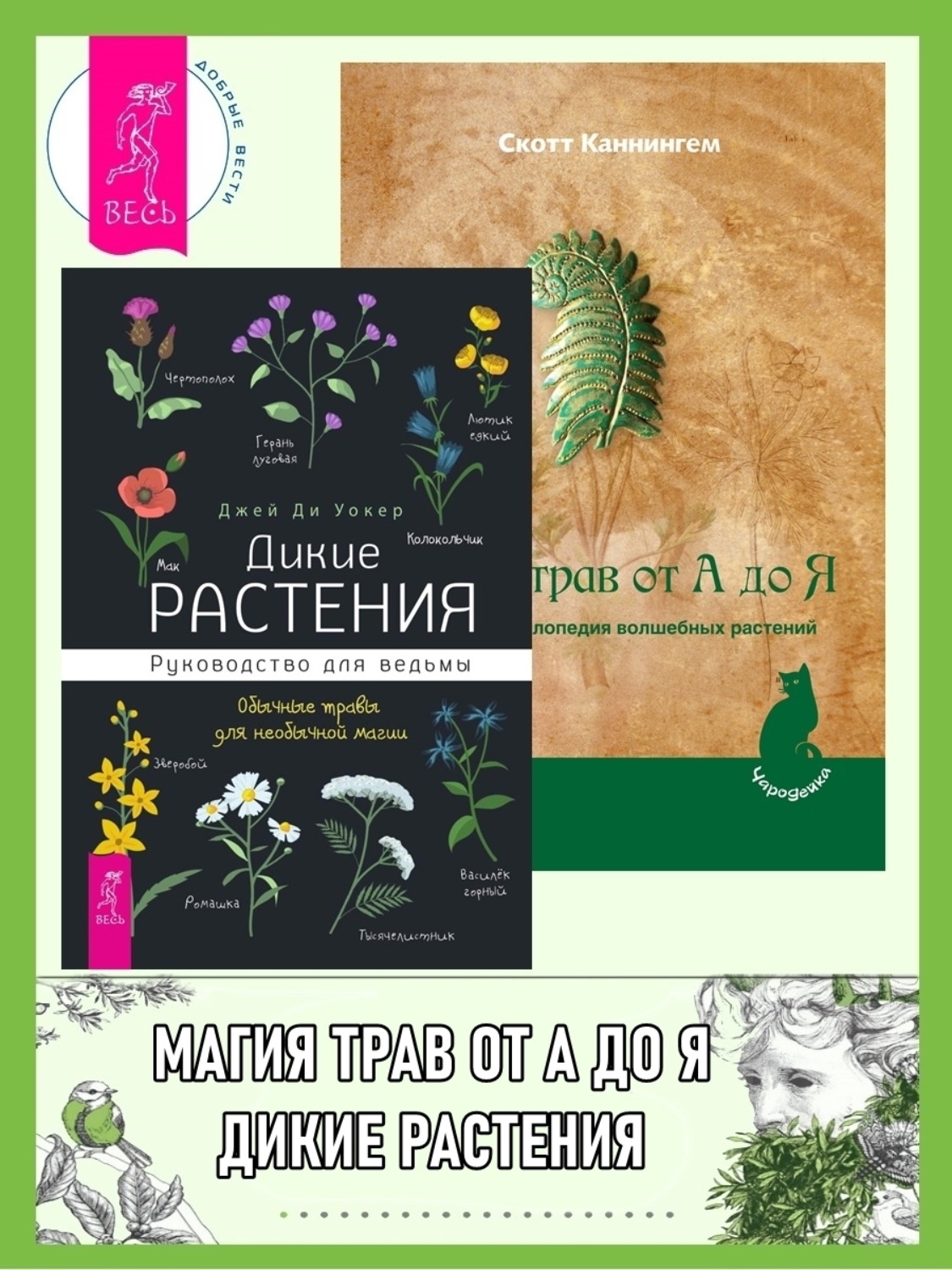 Джей Ди Уокер книга Дикие растения: руководство для ведьмы: Обычные ...