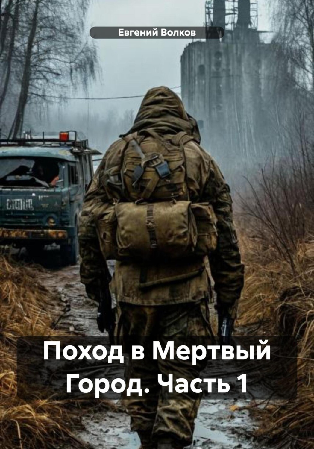 Евгений Волков книга Поход в Мертвый Город. Часть 1 – скачать fb2, epub ...